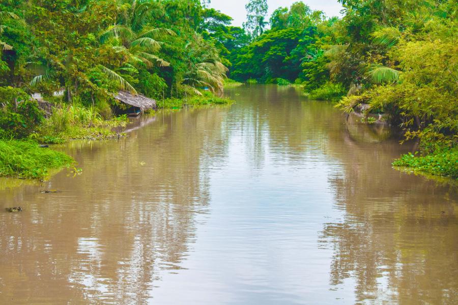 5 DAYS - HCMC - MEKONG DELTA HIDDEN GEMS Cần Thơ