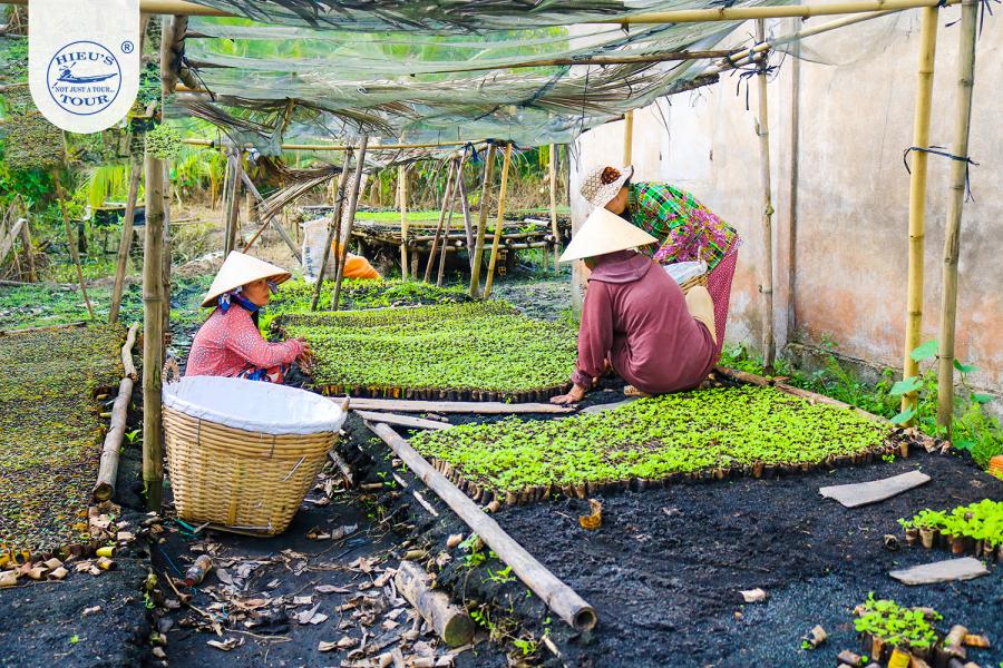 HALF DAY CAN THO - PHONG DIEN FLOATING MARKET -  SMALL CANAL - HIBPDMK1 color